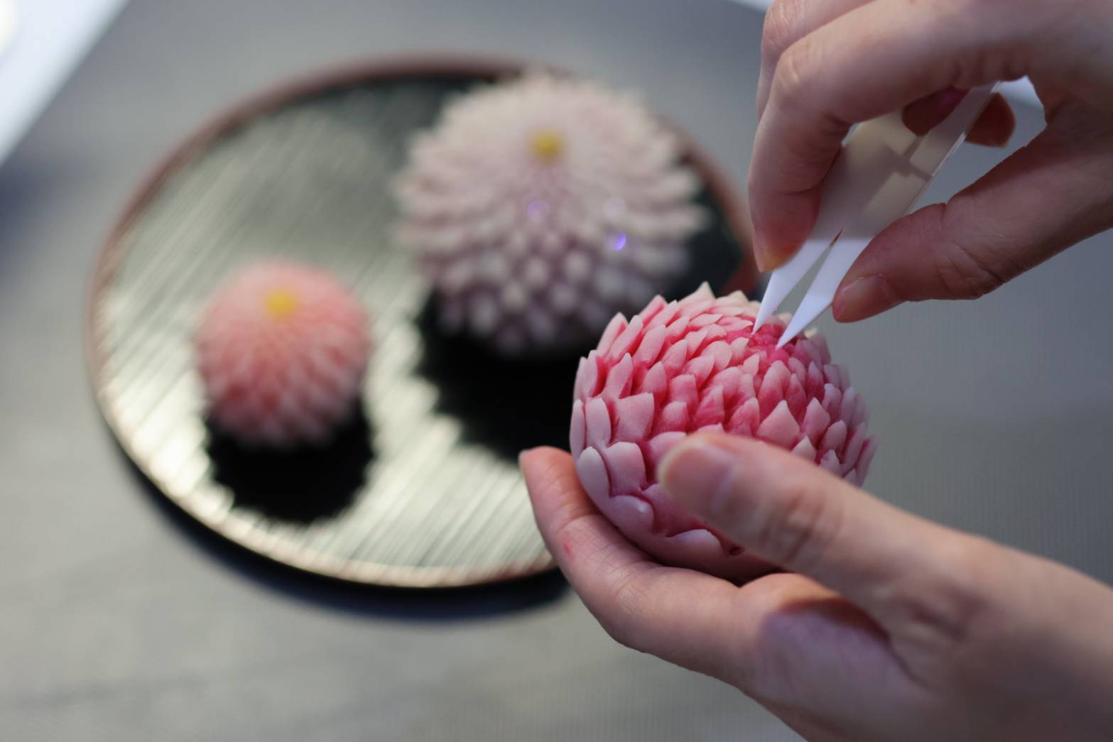 こなし鋏菊